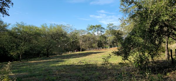 Propiedad Paraíso, 27 de Abril cerca de playas (Puede comprar los m2 que desee), Provincia de Guanacaste, Costa Rica — photo 3 of 5