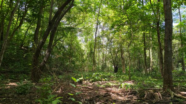 Terreno Paraíso, 27 Abril, Santa Cruz, Provincia de Guanacaste, Costa Rica — foto 4 de 5