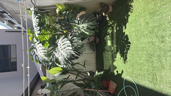 Condominio, Condominio Francisco de Heredia, Heredia Province, Heredia, Costa Rica — photo 4 of 5
