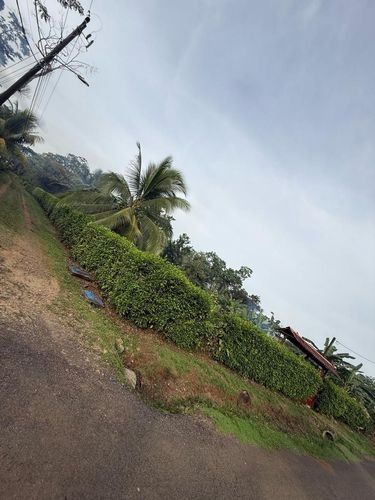 Precioso terreno a 20 metros de la Fortuna, Provincia de Puntarenas, Costa Rica — photo 4 of 5