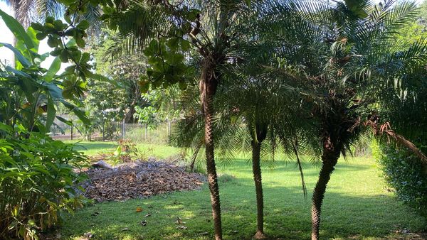 T-Tonio, 8662+7VH, Sta Rosa, Provincia de Guanacaste, Villareal, Costa Rica — foto 4 de 5