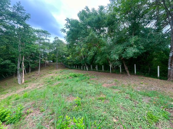 T- Colinas, 85PM+GG8, Provincia de Guanacaste, Matapalo, Costa Rica — foto 1 de 5