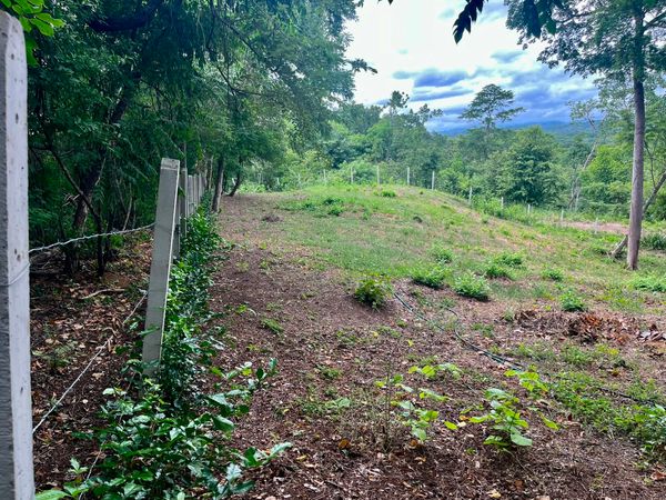 T- Colinas, 85PM+GG8, Provincia de Guanacaste, Matapalo, Costa Rica — foto 3 de 5