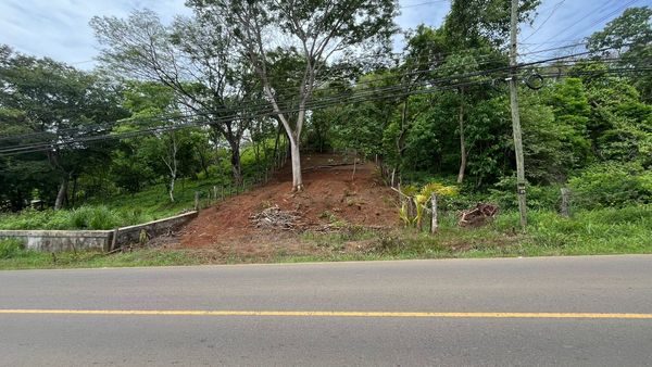 T- Oscar Matapalo, 9698+538, Provincia de Guanacaste, Huacas, Costa Rica — foto 1 de 5
