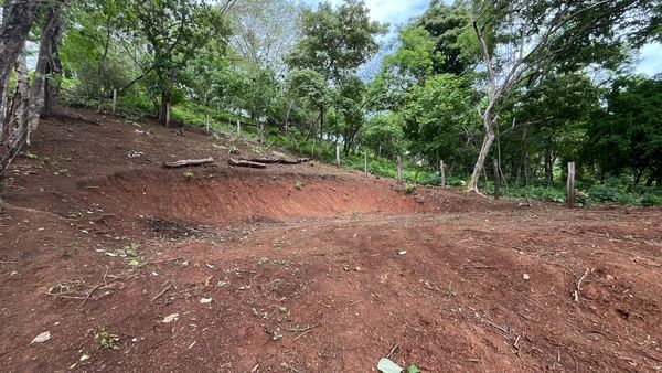 T- Oscar Matapalo, 9698+538, Provincia de Guanacaste, Huacas, Costa Rica — foto 3 de 5
