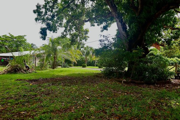 T- Salinitas Mango, 955V+CV, Guanacaste Province, Matapalo, Costa Rica — foto 4 de 5