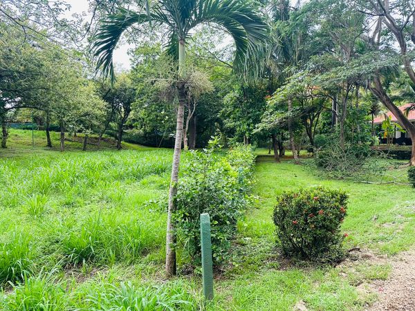 T- Gloria, 8652+PR2, Guanacaste Province, Villareal, Costa Rica — foto 2 de 5
