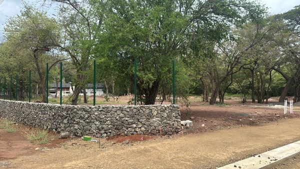 T- Tama centro Ju, C. Vascos 51, Provincia de Guanacaste, Tamarindo, 50309, Costa Rica — foto 1 de 5