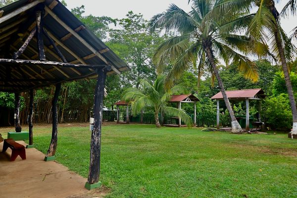 V-Salinitas Camping, 85RG+8FW, Provincia de Guanacaste, Matapalo, Costa Rica — foto 1 de 5