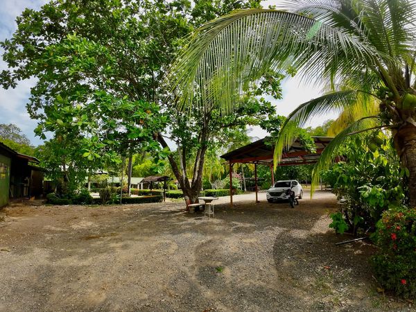V-Salinitas Camping, 85RG+8FW, Provincia de Guanacaste, Matapalo, Costa Rica — foto 5 de 5