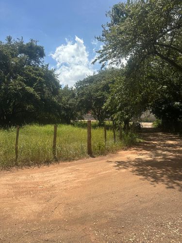 T-Rosa Fe Ju, 86X8+RGC, Provincia de Guanacaste, Huacas, Costa Rica — foto 1 de 5
