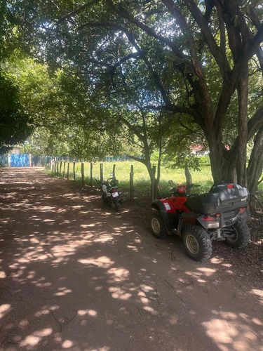 T-Rosa Fe Ju, 86X8+RGC, Provincia de Guanacaste, Huacas, Costa Rica — foto 3 de 5
