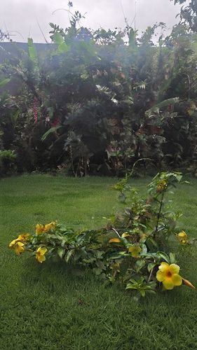 Terreno con Potencial Comercial y Residencial en San Rafael de Heredia, San Josecito, Heredia Province, San Rafael, Costa Rica — photo 2 of 5