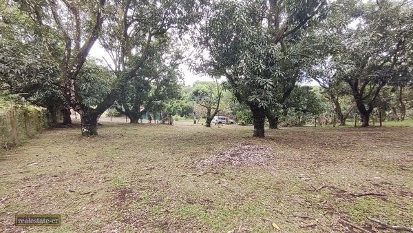 VENTA Gran lote en San Mateo de Alajuela, Provincia de Alajuela, Costa Rica — photo 3 of 5