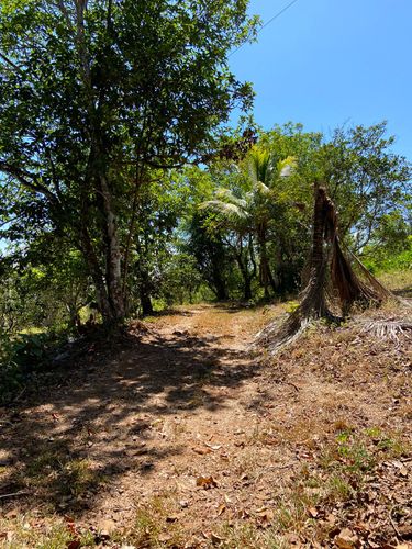 finca, Provincia de Guanacaste, Costa Rica — photo 1 of 5