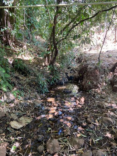 finca, Provincia de Guanacaste, Costa Rica — photo 5 of 5